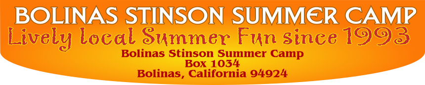 BSSC footer logo